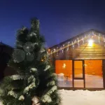 В Барнауле рядом с лесом продают бревенчатый дом с сауной и зоной отдыха