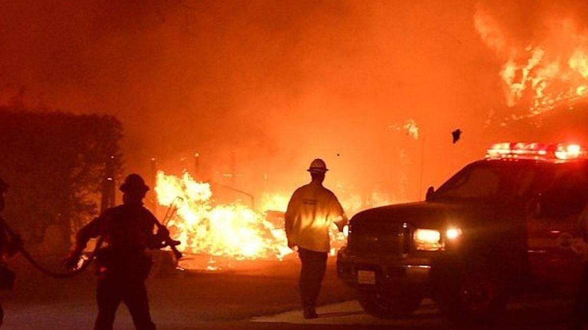Жертвами лесных пожаров в Калифорнии стали девять человек