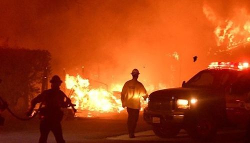 Жертвами лесных пожаров в Калифорнии стали девять человек