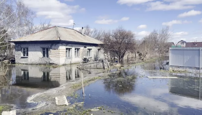 Грунтовые воды топят дома жителей села Лебяжье и уже месяц не уходят
