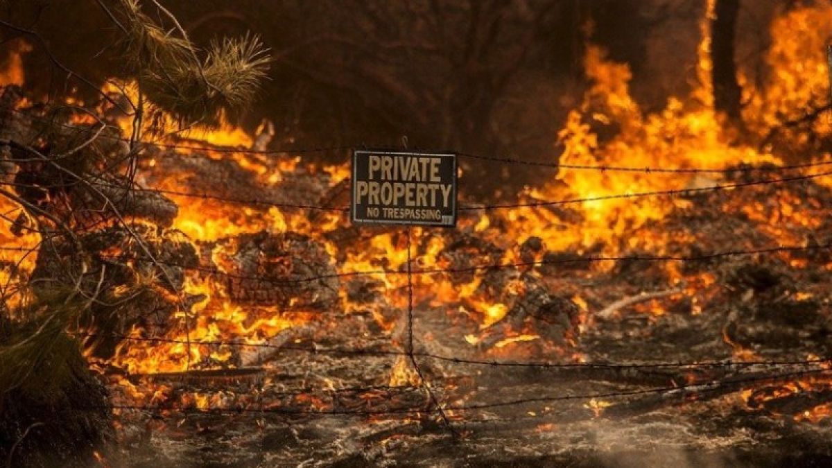 Жертвами лесных пожаров в Калифорнии стали 23 человека