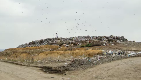 Барнаульский регоператор Экосоюз потратит 381 млн рублей на транспортировку отходов