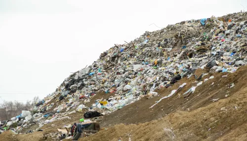 В пригороде Барнаула планируют убрать три нелегальные свалки