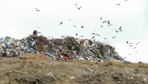 На Алтае назрела острая необходимость строительства комплексов переработки отходов