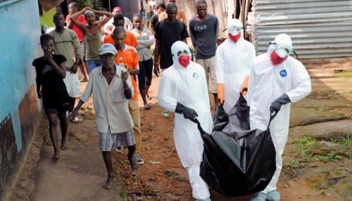 Жертвами лихорадки Эбола в Конго стал 201 человек