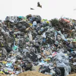 Уже не ура, но еще не караул: мусорный тариф в Алтайском крае вырастет в два раза