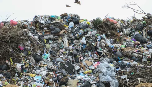 Уже не ура, но еще не караул: мусорный тариф в Алтайском крае вырастет в два раза