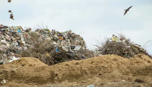 Томенко пообещал, что новые комплексы по переработке отходов не испортят людям жизнь