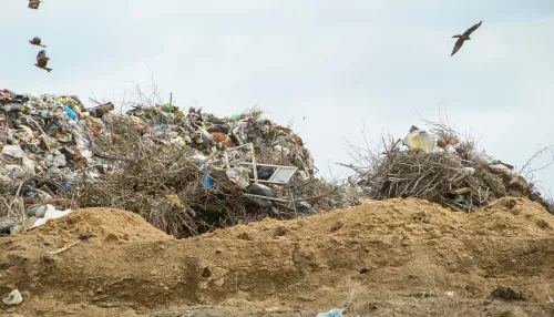 Томенко пообещал, что новые комплексы по переработке отходов не испортят людям жизнь