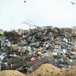 Девять незаконных свалок ликвидируют в Ленинском районе Барнаула почти за 10 млн руб.