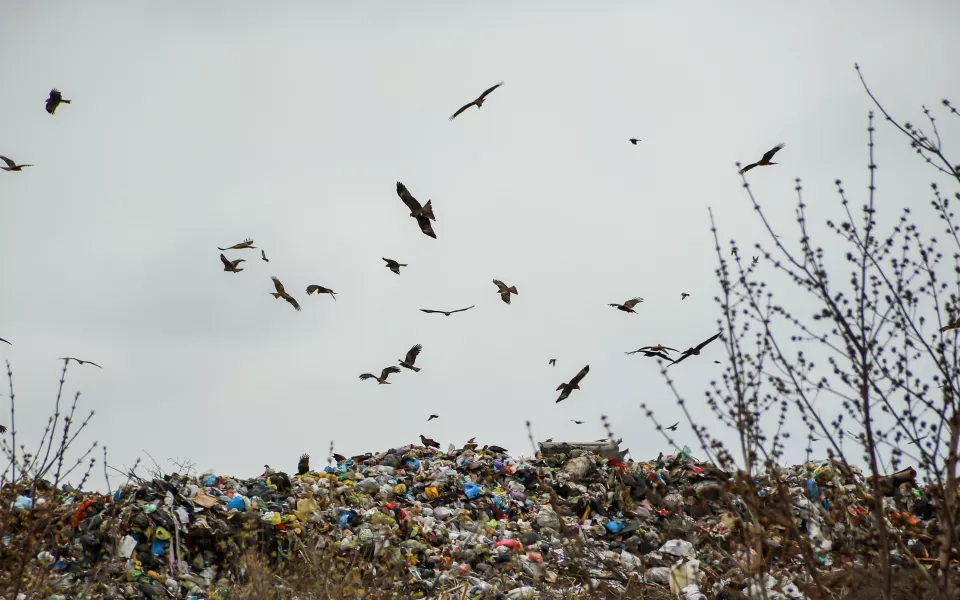 Тело ищут на свалке: что известно о страшной расправе в барнаульской квартире