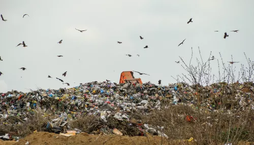 Несколько инвесторов отказались строить комплексы по переработке мусора на Алтае