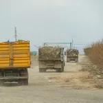 В Барнауле вывезут мусор с городских и пригородных кладбищ