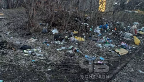 В барнаульском поселке пожаловались на заваленный мусором участок за детсадом