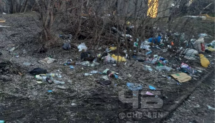 В барнаульском поселке пожаловались на заваленный мусором участок за детсадом