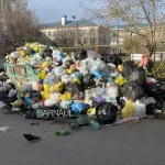 Жители Барнаула жалуются на мусорный апокалипсис у школы