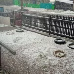 Жители Алтайского края в соцсетях делятся снежными фото