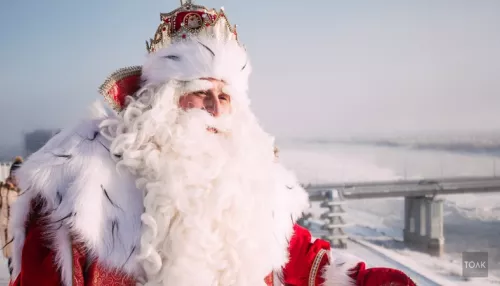 В центре Барнаула заступил на вахту парковый Дед Мороз