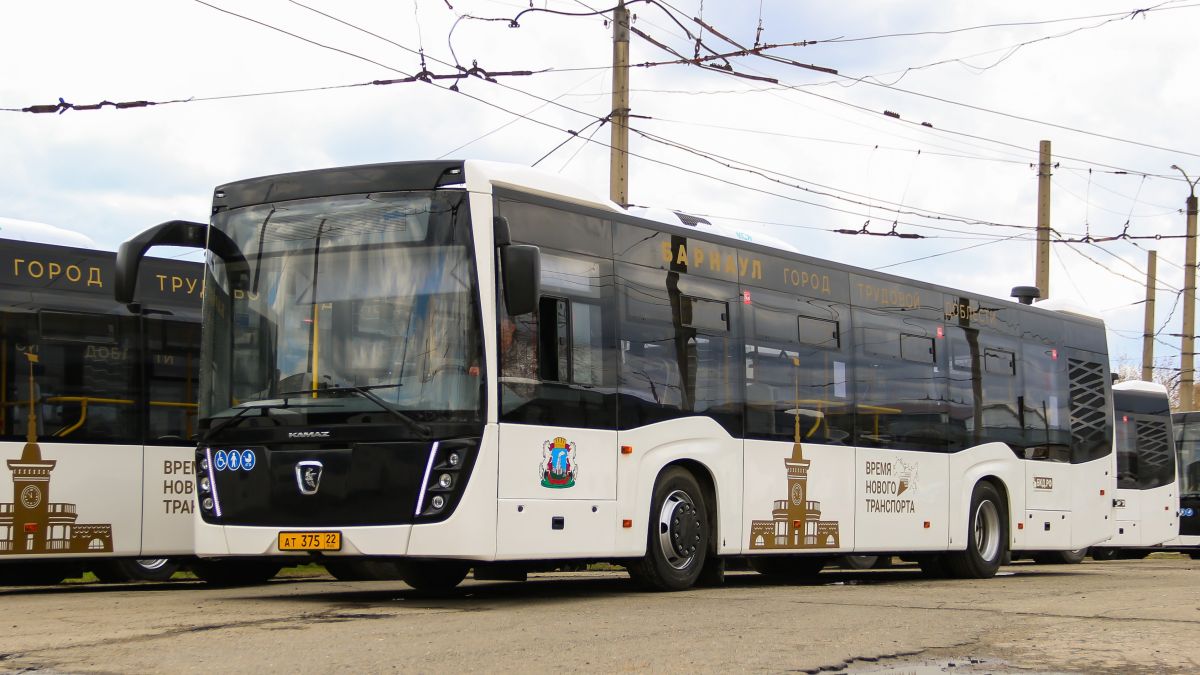 Новые автобусы марки НЕФАЗ, закупленные для Барнаула