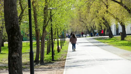 Парк Изумрудный в Барнауле временно закрыли для посетителей