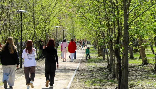 Для пешеходного фонтана за 6,5 млн рублей в парке Изумрудный нашли подрядчика