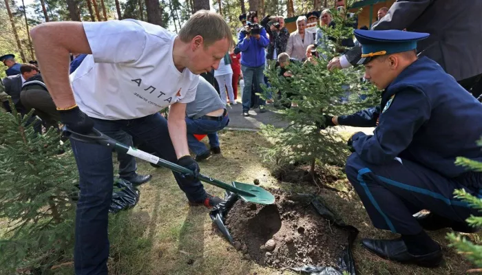 Личная история: Виктор Томенко посадил крымскую сосну в честь Дня Победы