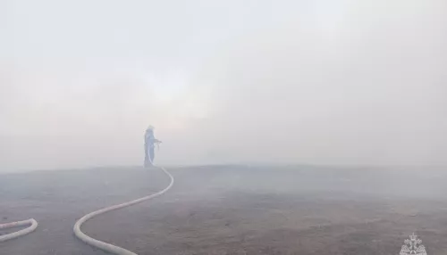 В Барнауле загорелись и дымят горы шелухи от семечек