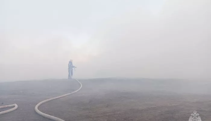 В Барнауле загорелись и дымят горы шелухи от семечек