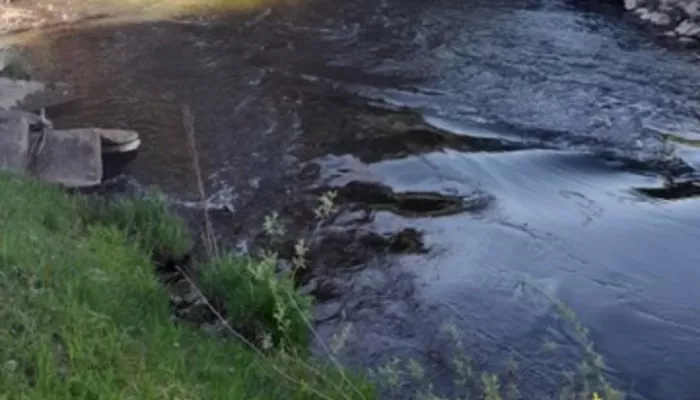 В Алтайском крае на водоеме утонули мужчина и 11-летняя девочка