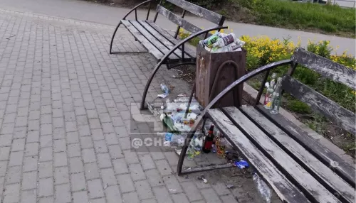 Барнаульцы возмущены переполненными урнами в городе