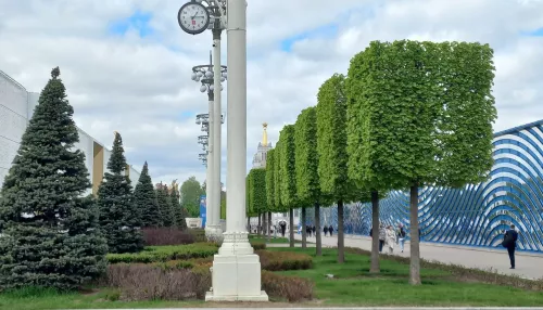 Как выглядит цветущая Москва в мае: фотопрогулка по столице с Толком