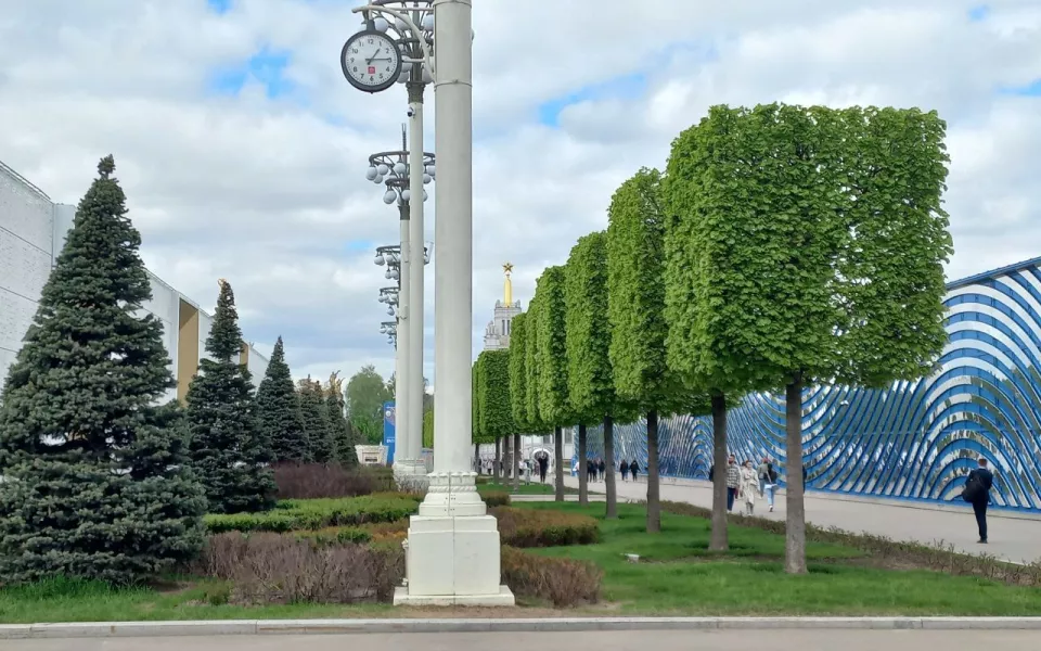 Как выглядит цветущая Москва в мае: фотопрогулка по столице с Толком
