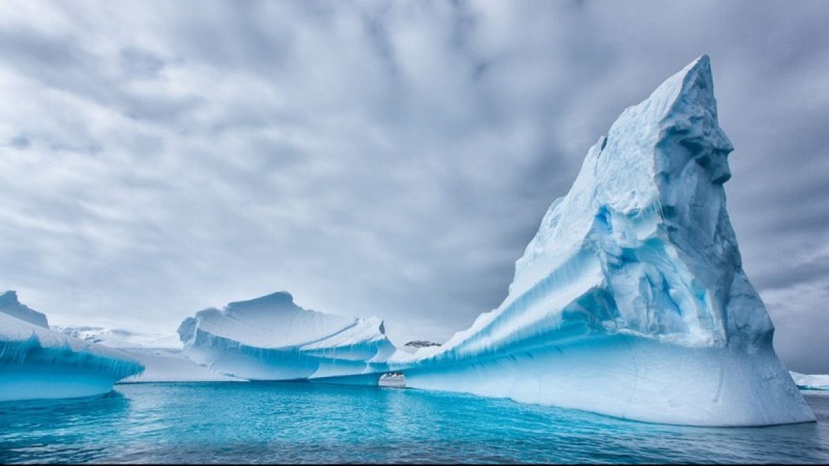 Как меняется Земля: перемещение айсбергов за 40 лет показали за 50 секунд