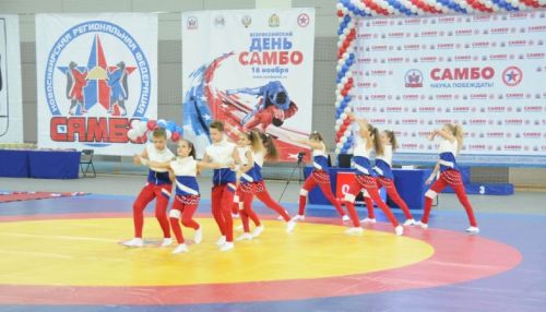 Соревнования по самбо проходят 16 ноября в Барнауле