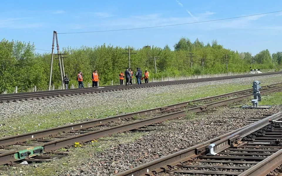 В Алтайском крае грузовой поезд насмерть сбил 17-летнего подростка