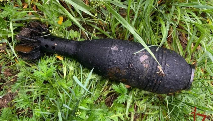 Житель Алтайского края в огороде наткнулся на минометный снаряд