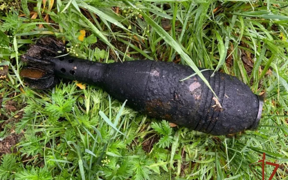 Житель Алтайского края в огороде наткнулся на минометный снаряд