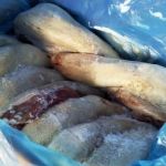 240 кг говяжьего деликатеса из Италии уничтожили в Алтайском крае