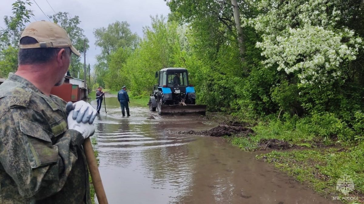 Паводок в Бийском районе