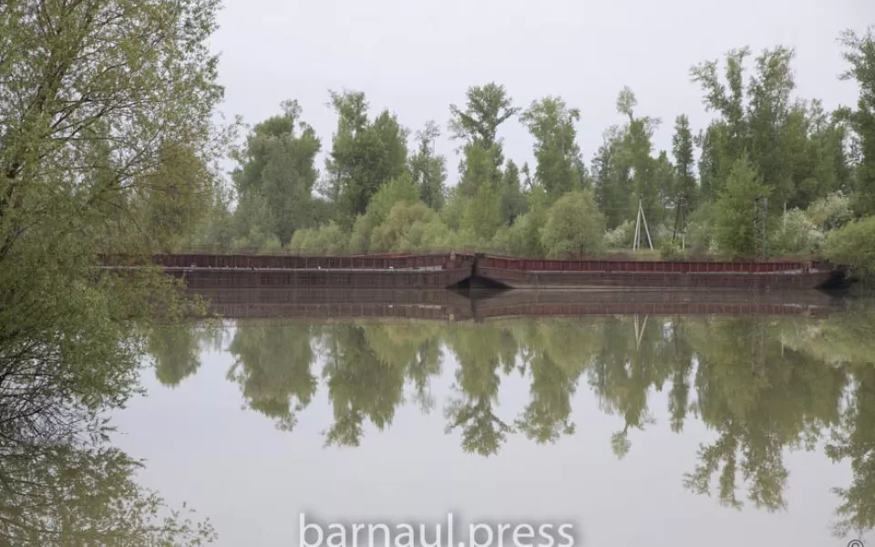 Уровень воды в Оби в районе Барнаула достиг почти 500 см