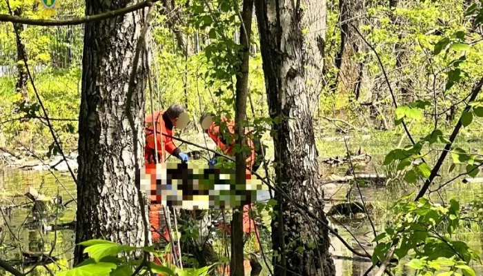 В московском парке нашли тело школьницы, которая могла отравиться психотропами