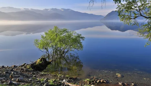 На Алтае в преддверии лета засняли сияющую зеркальную гладь Золотого озера. Фото
