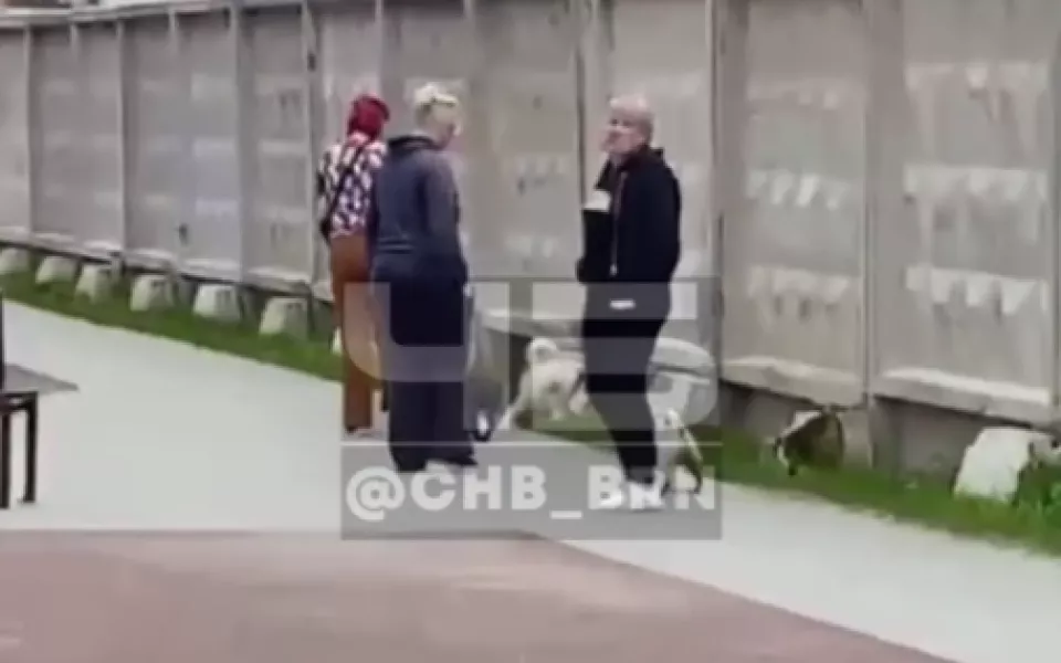 Барнаульцы возмущены поведением собачников, гуляющих на детской площадке