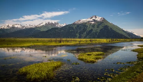 Ученые раскрыли тайну оранжевой воды в нетронутых водоемах Аляски