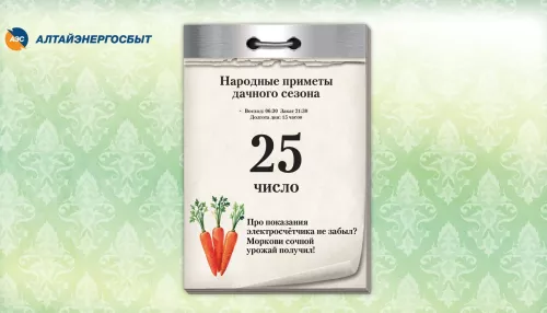 Алтайэнергосбыт: как быстро передать показания счётчиков