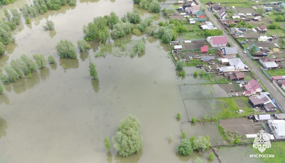 На сколько поднялся уровень воды в Оби в Барнауле на утро 25 мая - Толк  25.05.2024