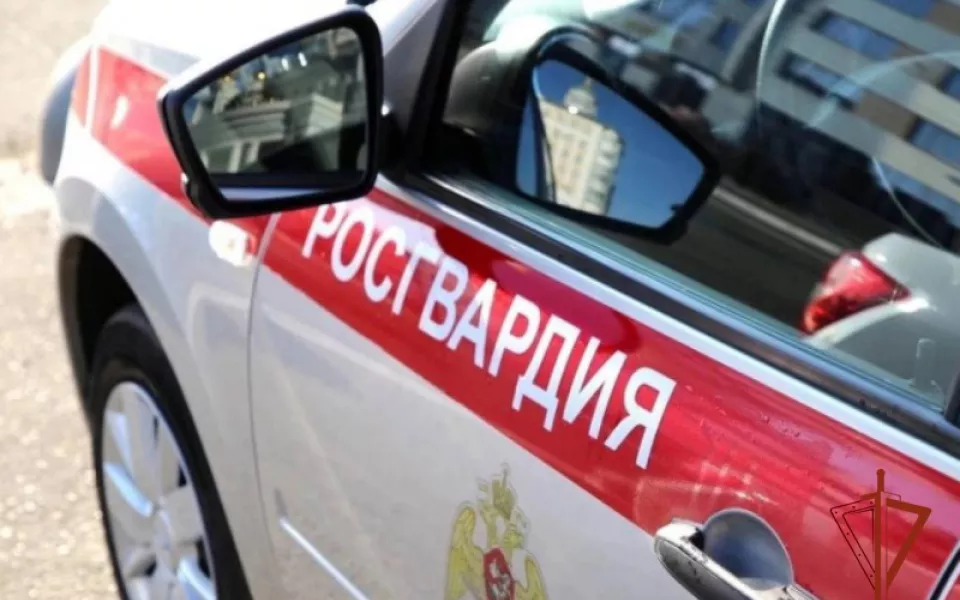 В Алтайском крае пресекли два случая незаконного хранения оружия