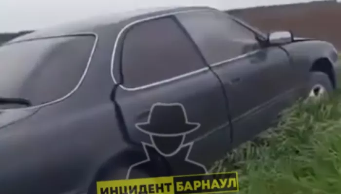 Соцсети: в Алтайском крае пьяный водитель снес столб, оставив без света две деревни