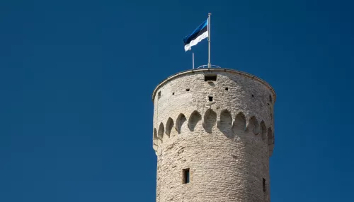 Президент Эстонии заявил о планах поставить Россию на колени