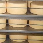 300 кг сырного продукта украли сотрудники алтайского молочного комбината